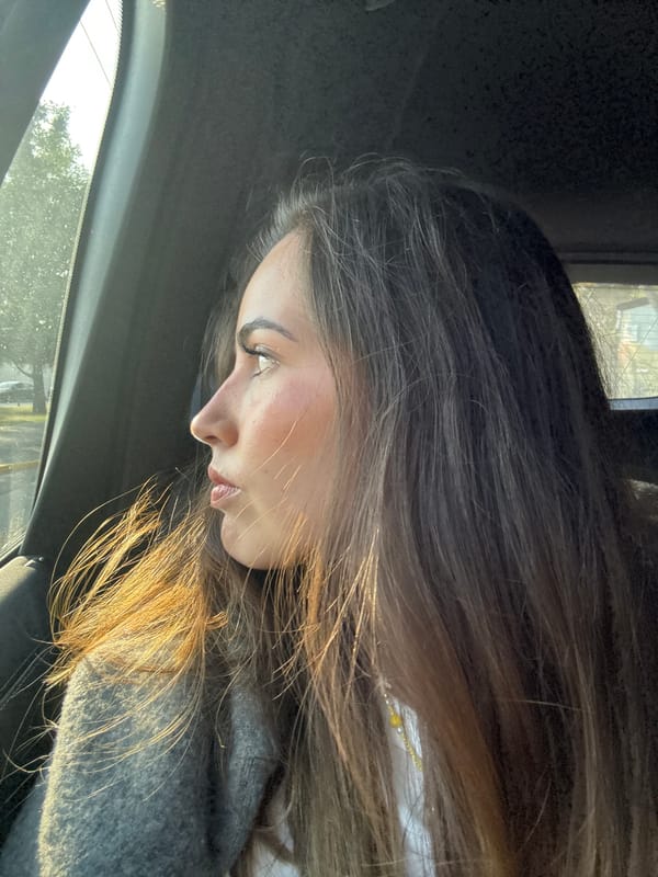 Woman photographed during late night car journey in Puebla