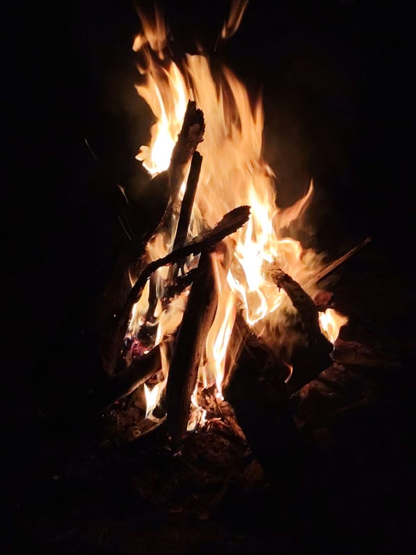 Man observed at nighttime bonfire in forested area