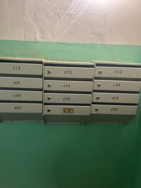 Residential building details documented in Russian settlement