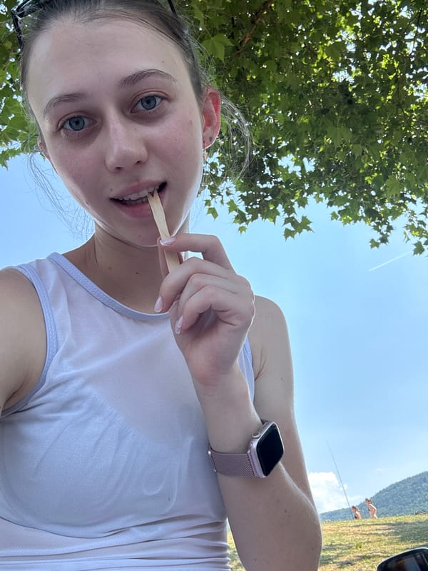 Sunny afternoon at Bürgstadt's outdoor swimming area