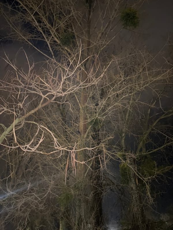 Winter night documentation captured across Ifrane, Morocco