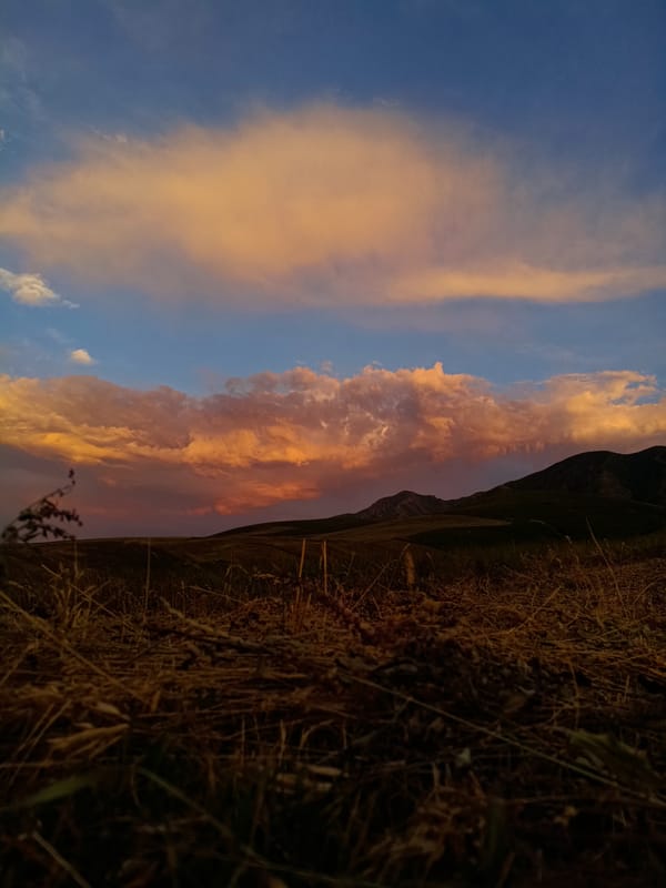 Mountain biking through Arashan at golden hour