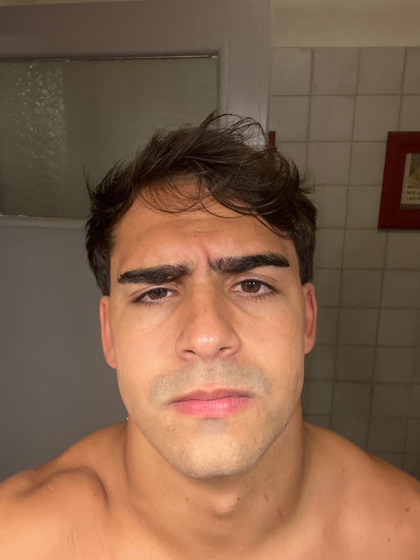 Person takes multiple bathroom selfies in Avellaneda apartment