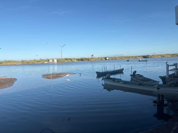 Quiet boats rest at Mexcaltitán de Uribe waterfront