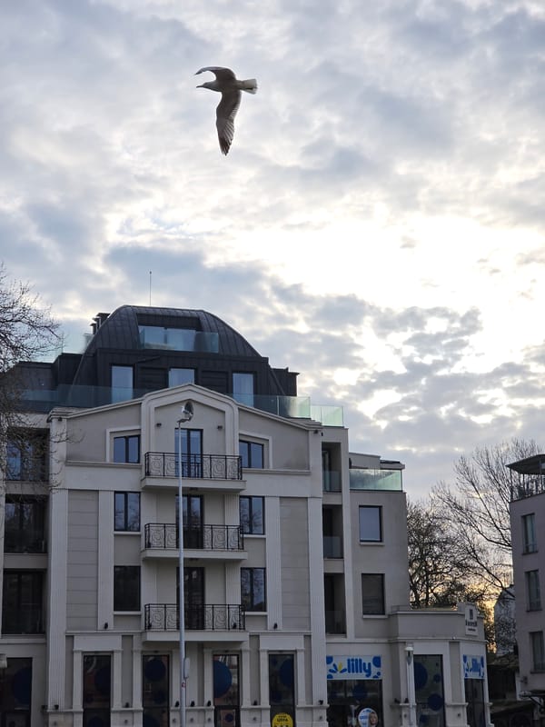 Morning street scenes captured around Varna's cathedral district