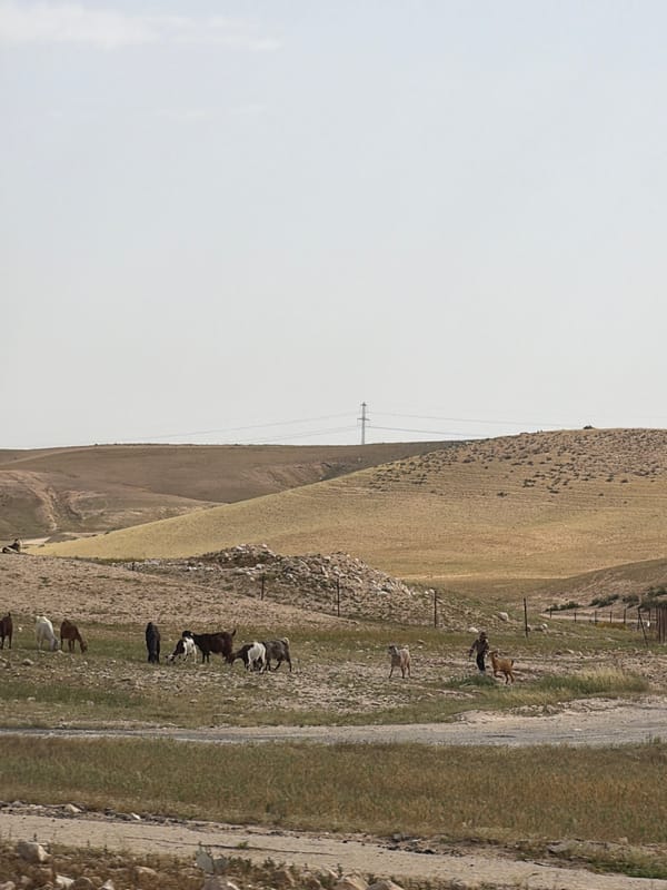 Morning landscape documented in Abu Quraynat shows arid terrain