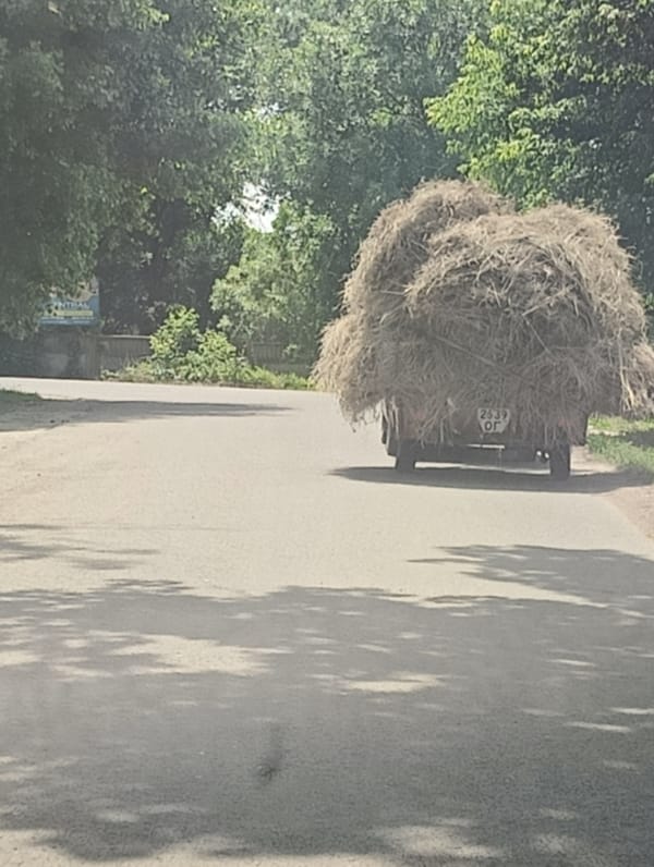Hay trailer travels rural road in Biliaivka Ukraine