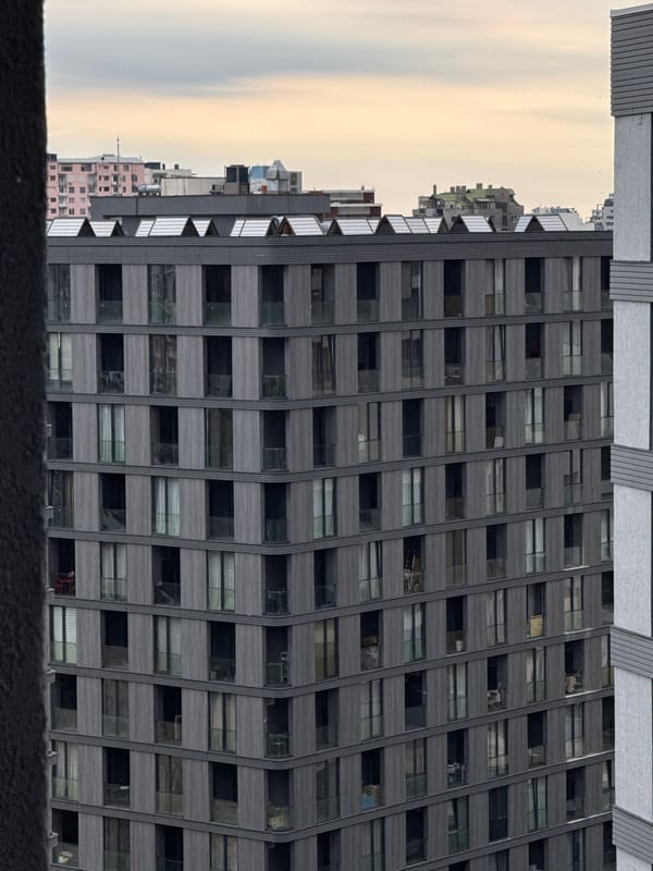 Black cat on a Tbilisi balcony, city sprawl behind