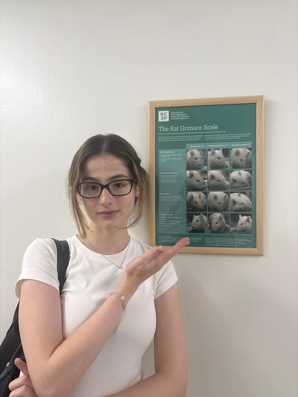 Rat Grimace Scale presentation in Tel Aviv