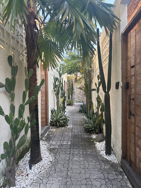 Neat stone pathway through a Balinese courtyard in North Kuta