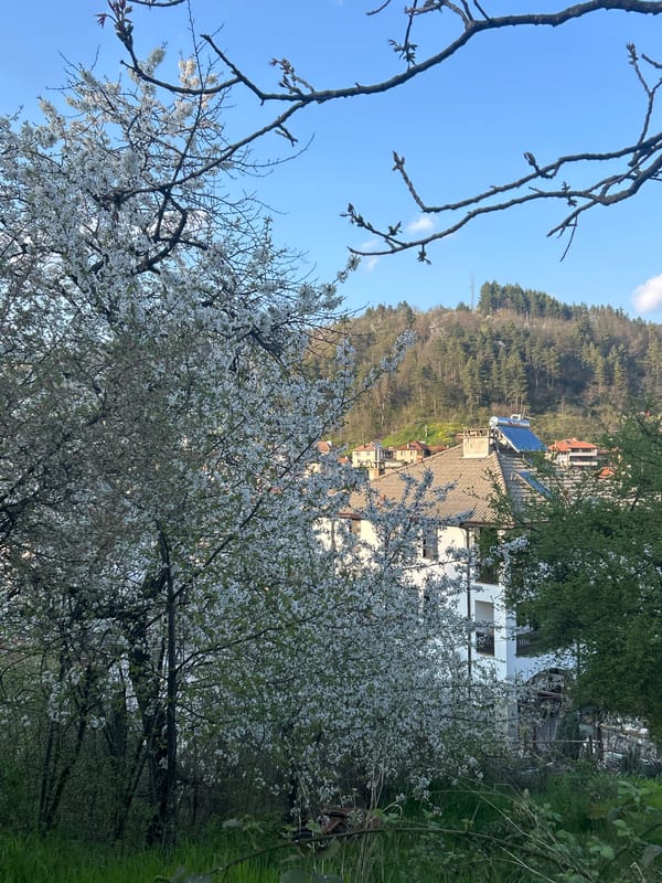Spring blooms and daily life captured in Zlatograd, Bulgaria