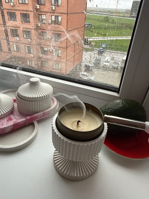 Rainy afternoon domestic moments captured in residential setting