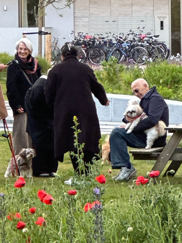 Amsterdam residents go about daily routines on spring evening