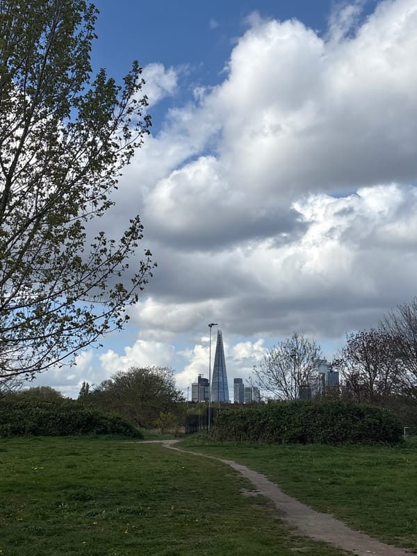 Spring afternoon captured in London park with emerging buds, ducks