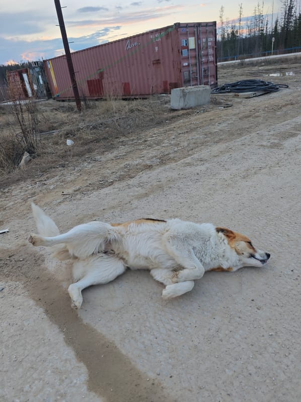 Rural Russia scenes documented during stormy afternoon conditions