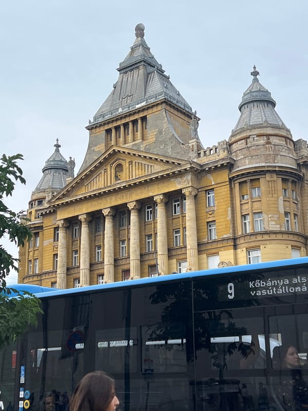 Budapest witness captures architecture, birthday celebration, food stall scenes
