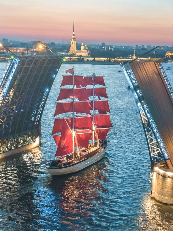 Sochi witnesses document ship passage, sunlit trees, street musician