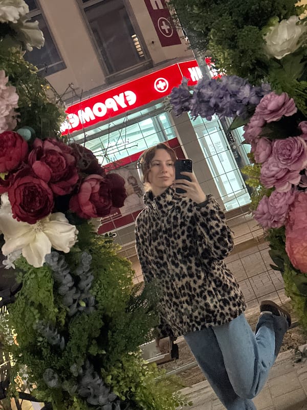 Evening stroll through Novi Sad captures architecture and street scenes