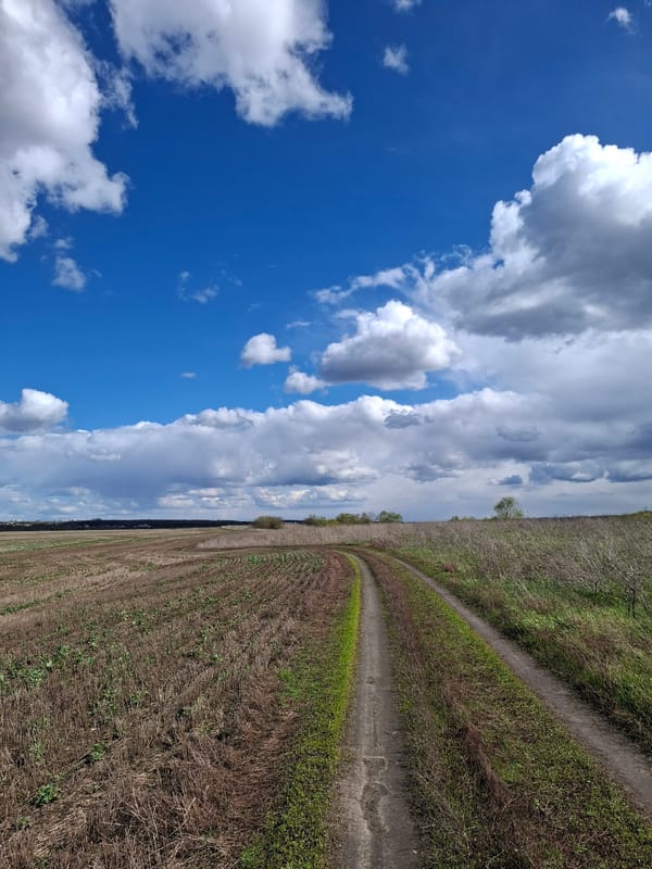 Rural landscape documented in Treshchevka, Russia under dynamic skies