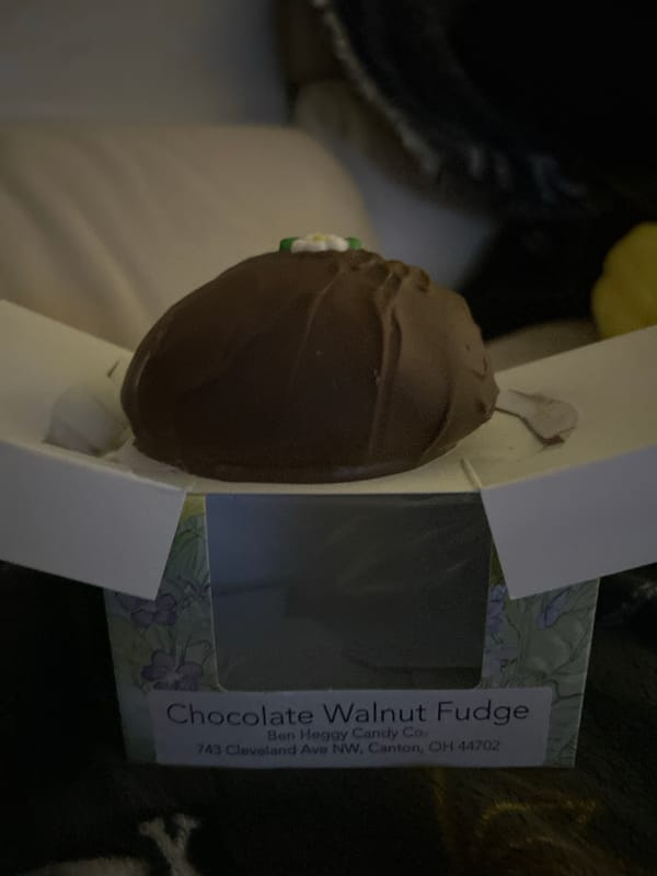 Cape Coral resident captures candy and garden torch overnight