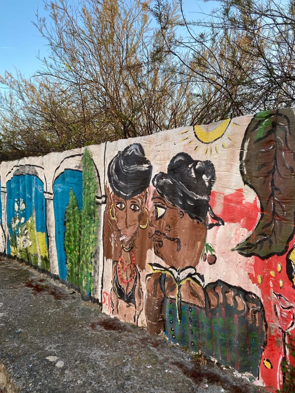 Street murals documented in coastal Bulgarian town