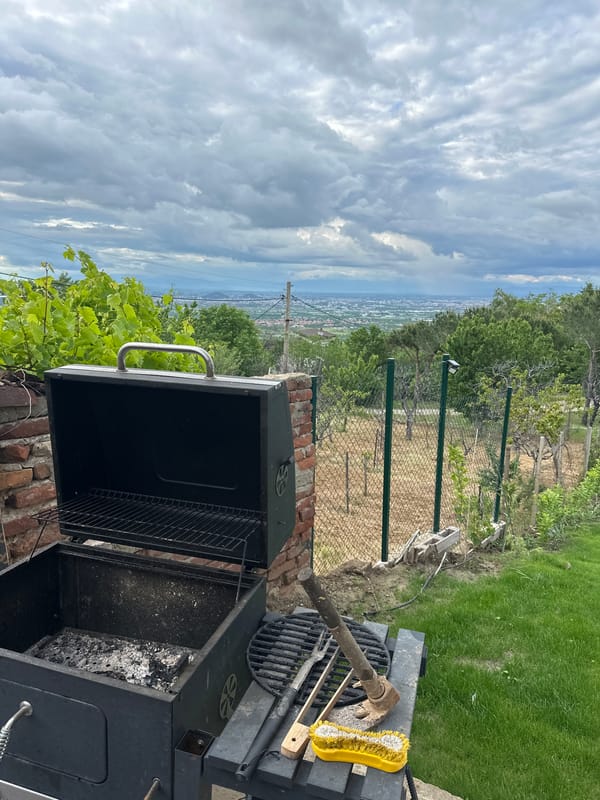 Backyard barbecue gathering documented in Brestnik, Bulgaria