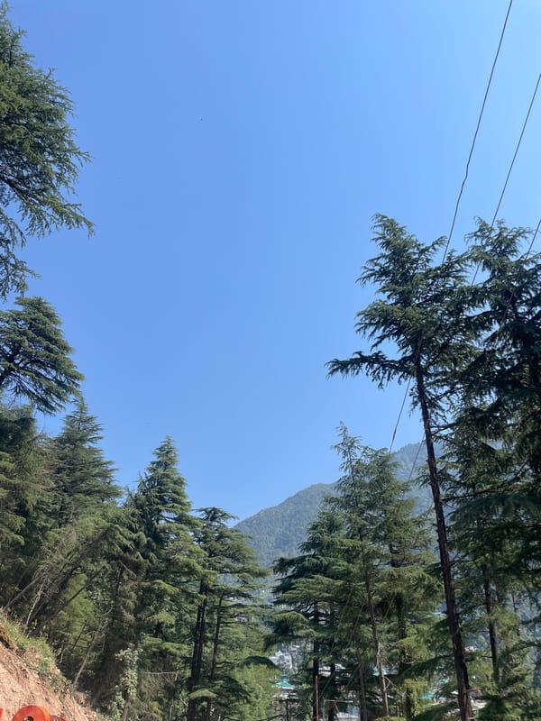 Early morning life documented in Bhagsu, Dharamkot mountain towns