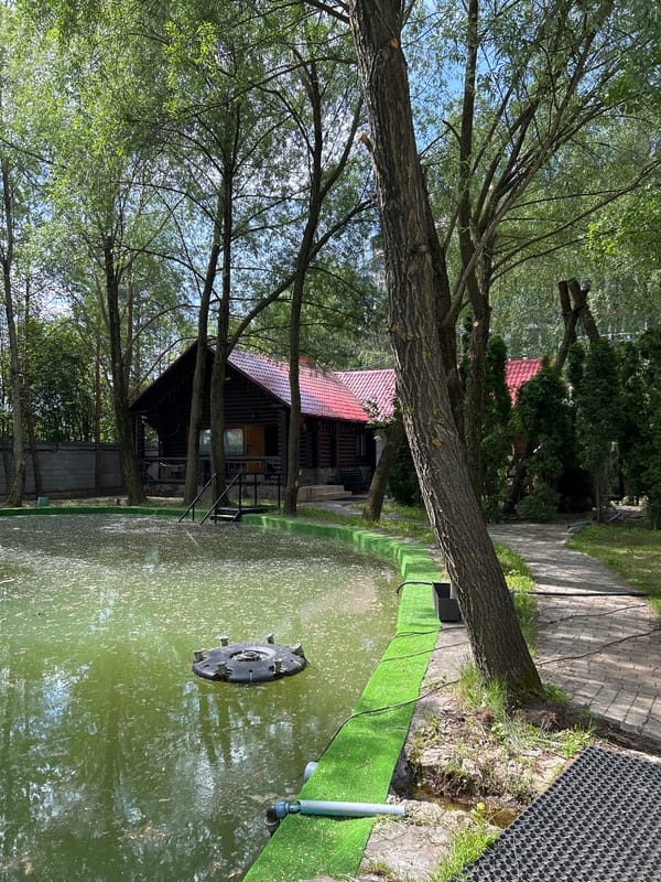Peacock displays plumage at Khimki park facility