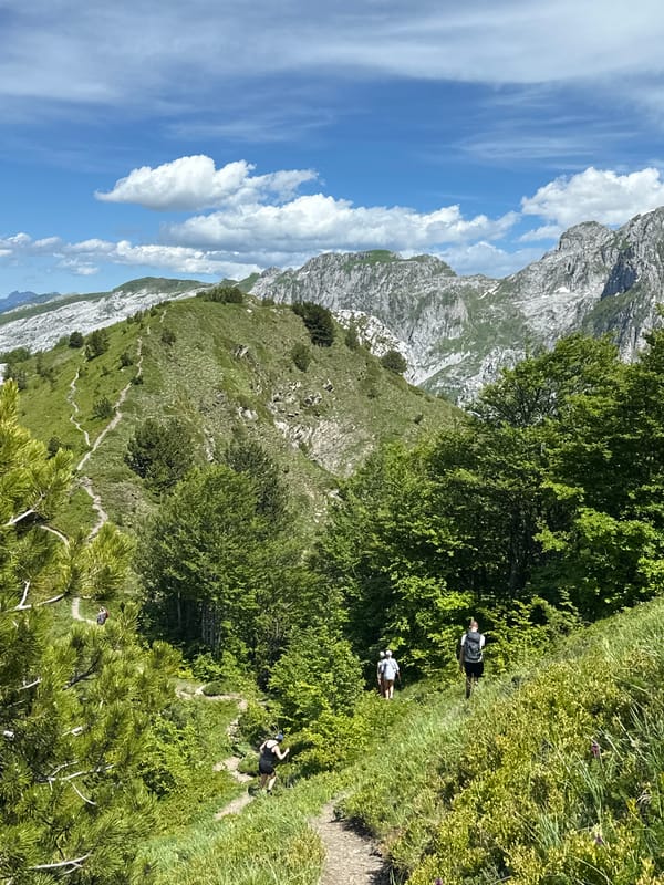 Mountain camping adventure in Dolja Montenegro with hiking and wildlife