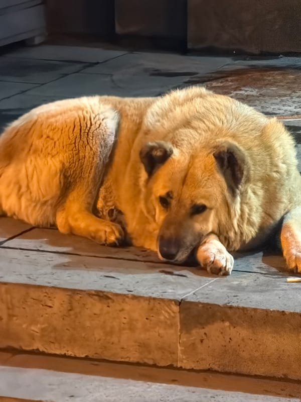 Friday night social scenes captured across Tbilisi, Georgia