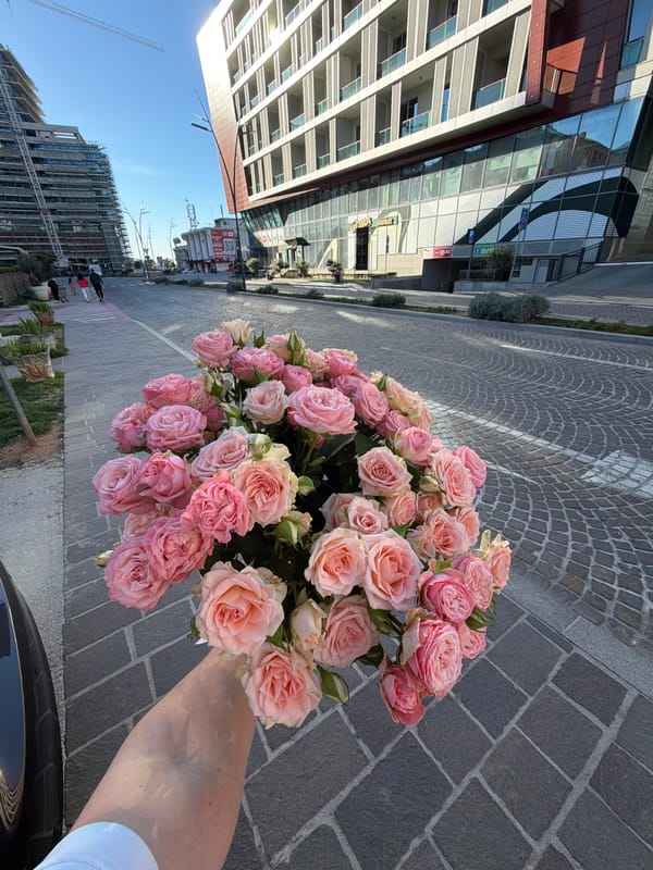Pink roses held against urban backdrop in Budva