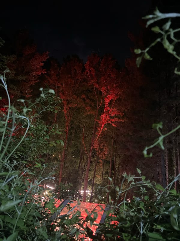 Forest illuminated with red lights observed in Kokalyane, Bulgaria