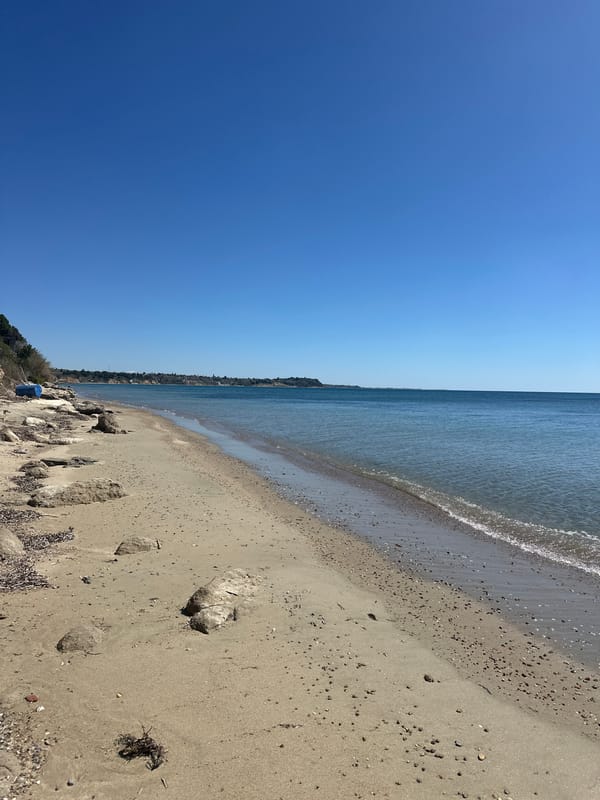 Greek coastline photographed by witnesses shows beach, gate views
