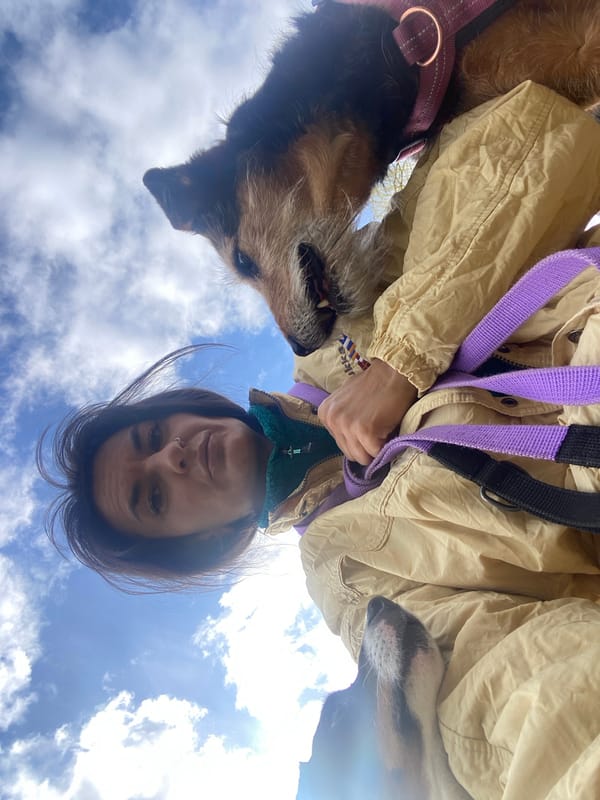 Morning dog gathering in Moscow park draws multiple witnesses