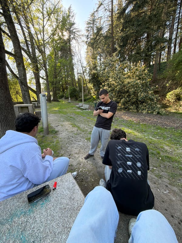 Young people gather for casual park hangout in Vila Real