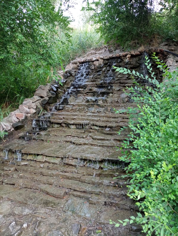 Shymkent park canal with lion fountains, gabion walls, and dogs