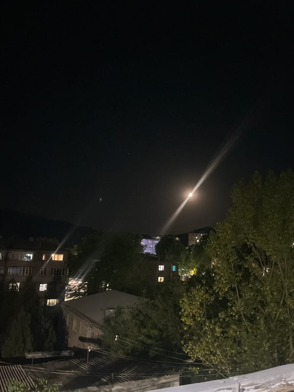 Nighttime scenes around Gladzor apartment buildings, moon overhead