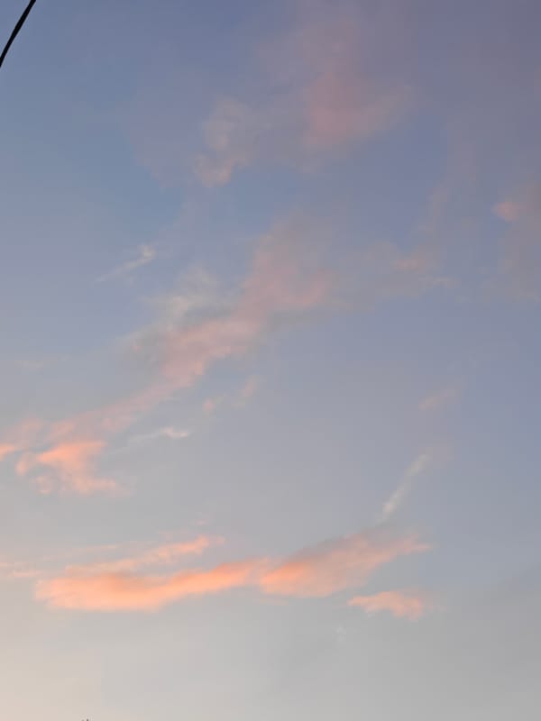 Summer evening details in Pushkin: hydrangeas, twilight sky, quiet street