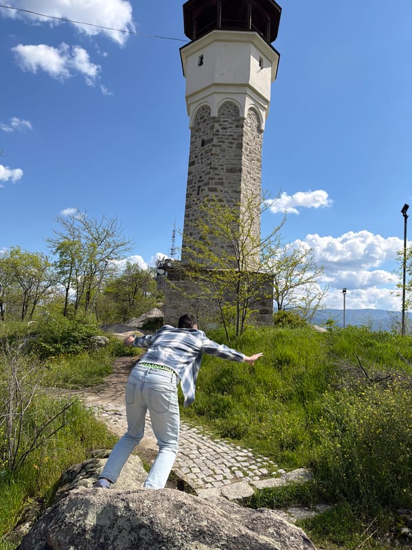 City panorama viewing session captured by multiple witnesses