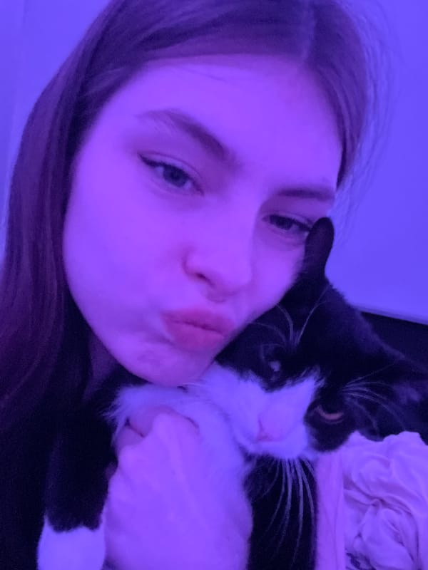 Person shares restaurant meal with cat in Saint Petersburg