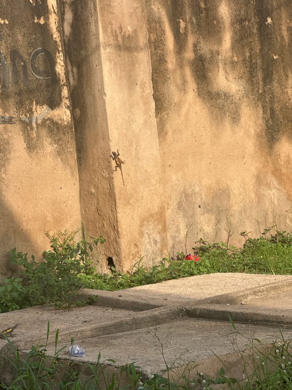 Street life along Jalingo's roads on a hazy afternoon