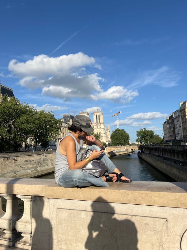 Friday evening life unfolds along Seine River in Paris