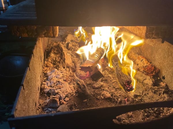 Backyard fire, smoker grill, and a heterochromatic cat in Khokhryaki