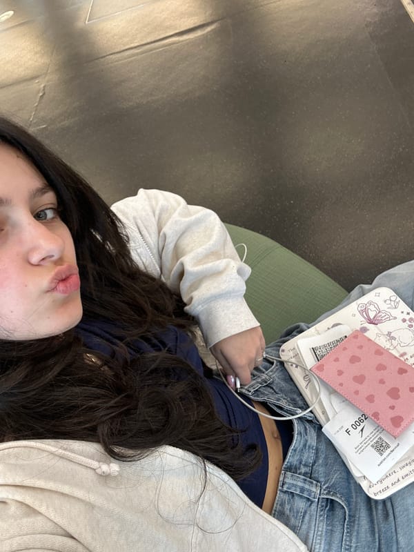 Passenger travels Vienna to Paris on Austrian Airlines morning flight