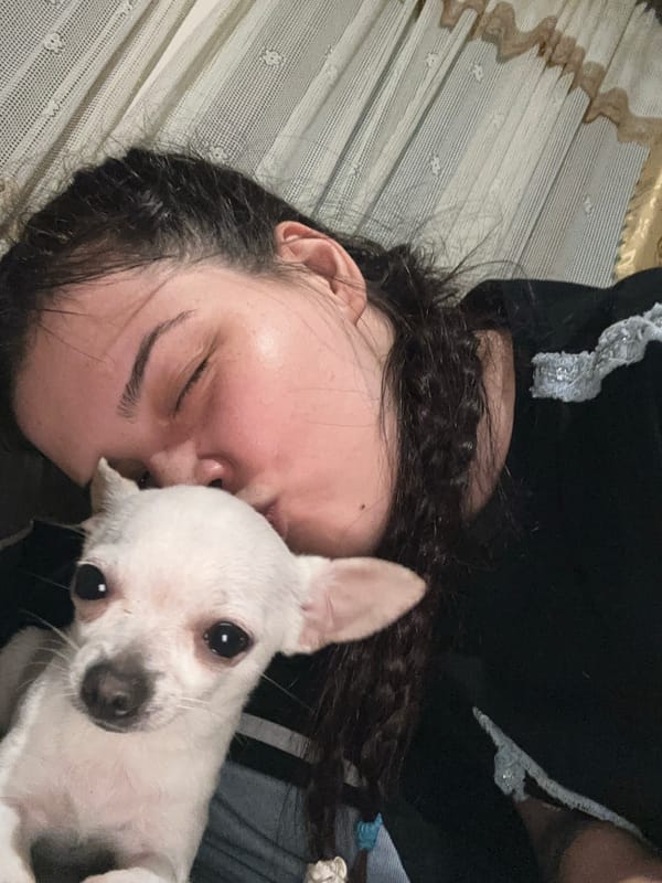 Woman shares quiet evening moments with pet Chihuahua at home