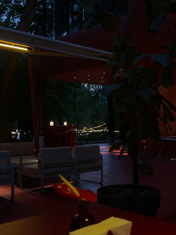 Evening scenes captured in Yerevan: outdoor dining, shopping selfie