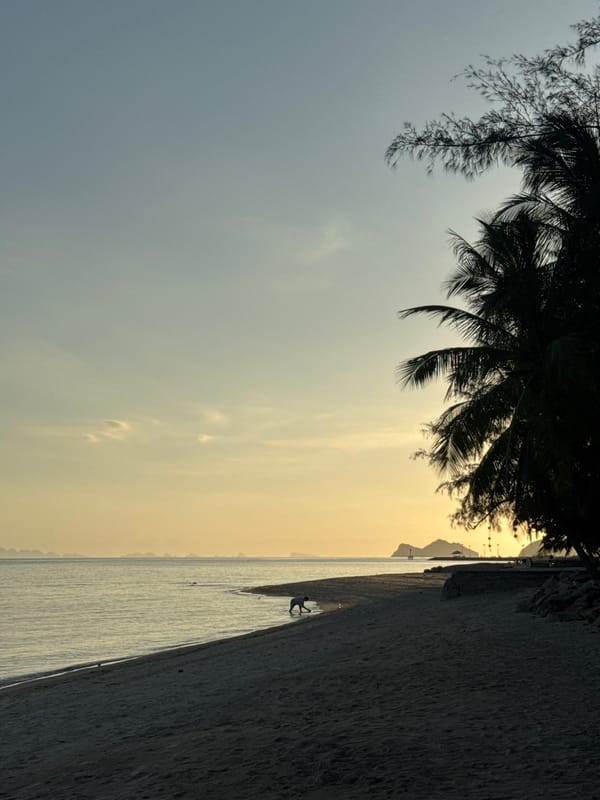 Dogs and beachgoers on a laid-back Ko Pha-ngan shore