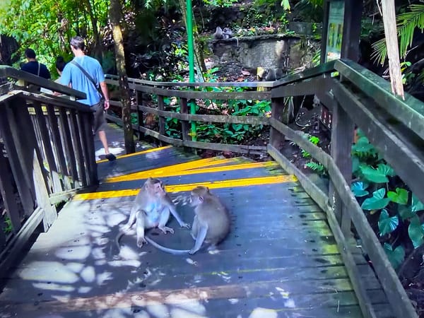 Barcelona landmarks and tropical park visited during evening tourist activity