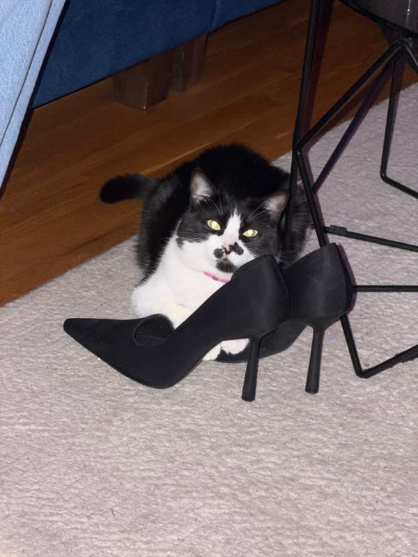 Friends share evening hookah session at neighbor's Belgrade apartment