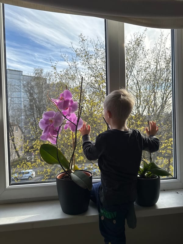Quiet afternoon moments captured in Riga homes
